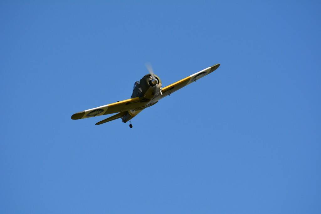 DSC_0245.JPG