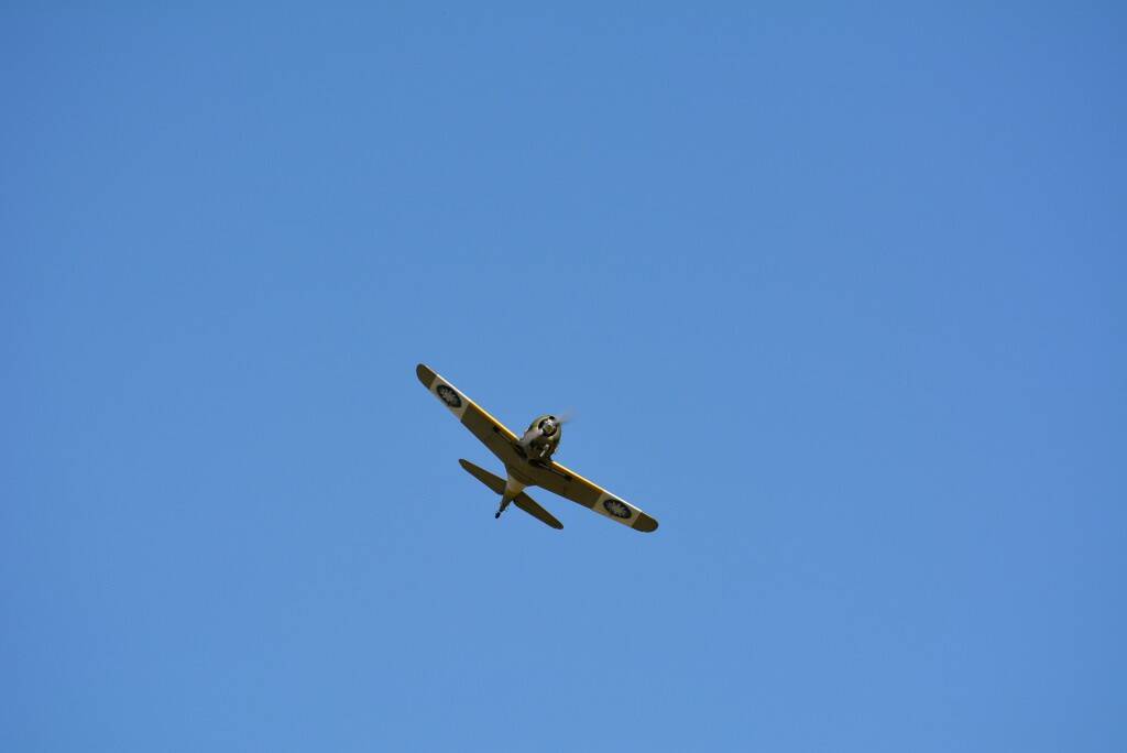 DSC_0250.JPG