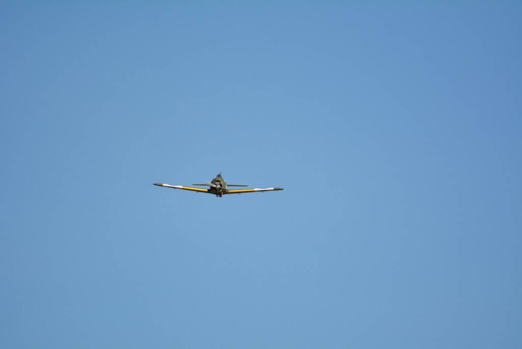 DSC_0252.JPG