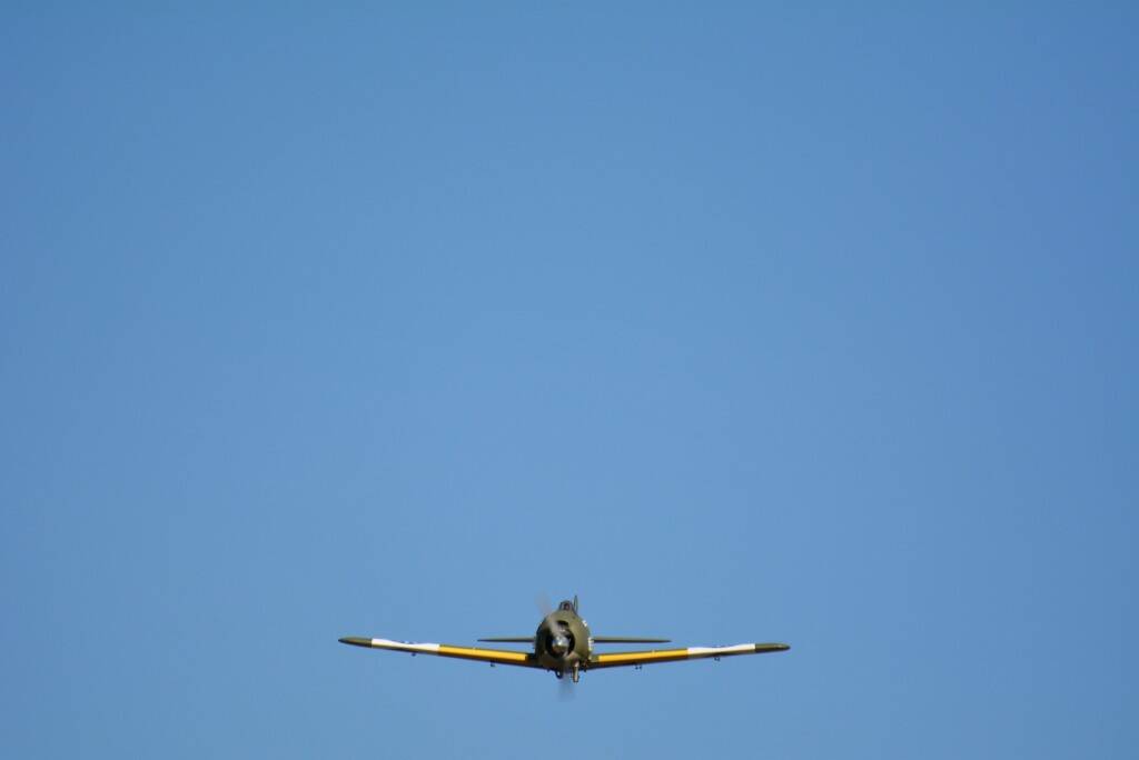 DSC_0253.JPG