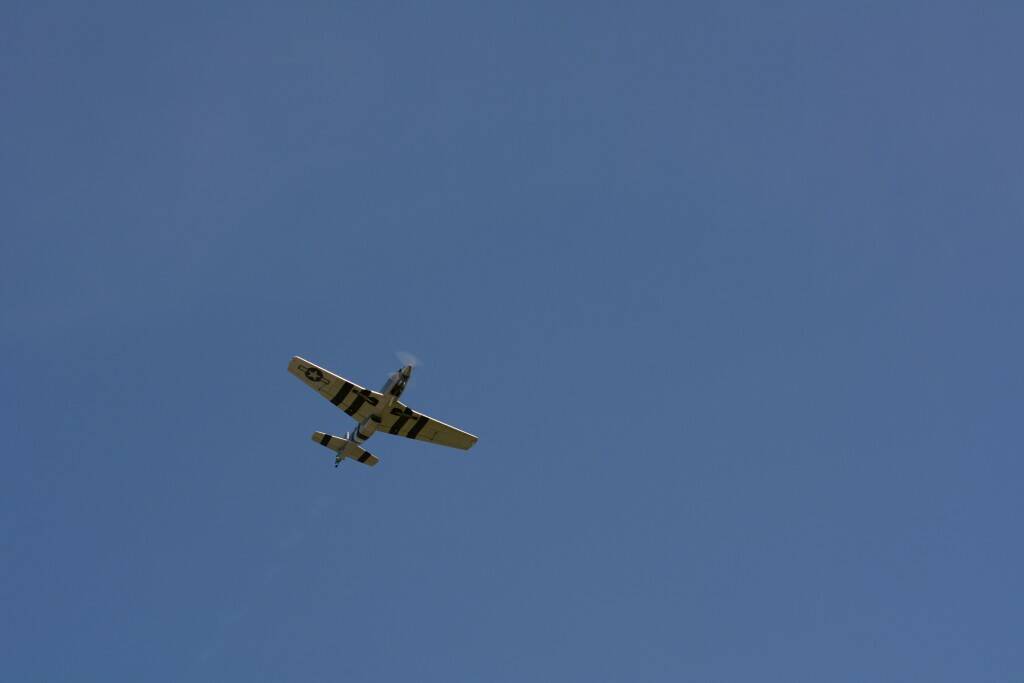DSC_0261.JPG