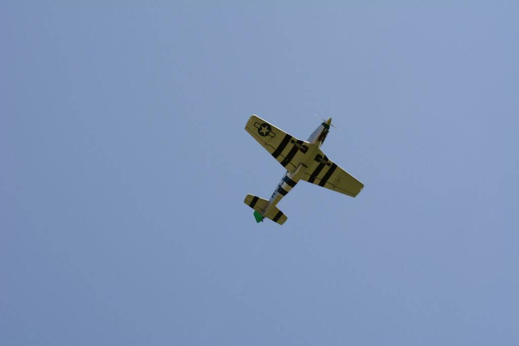 DSC_0262.JPG