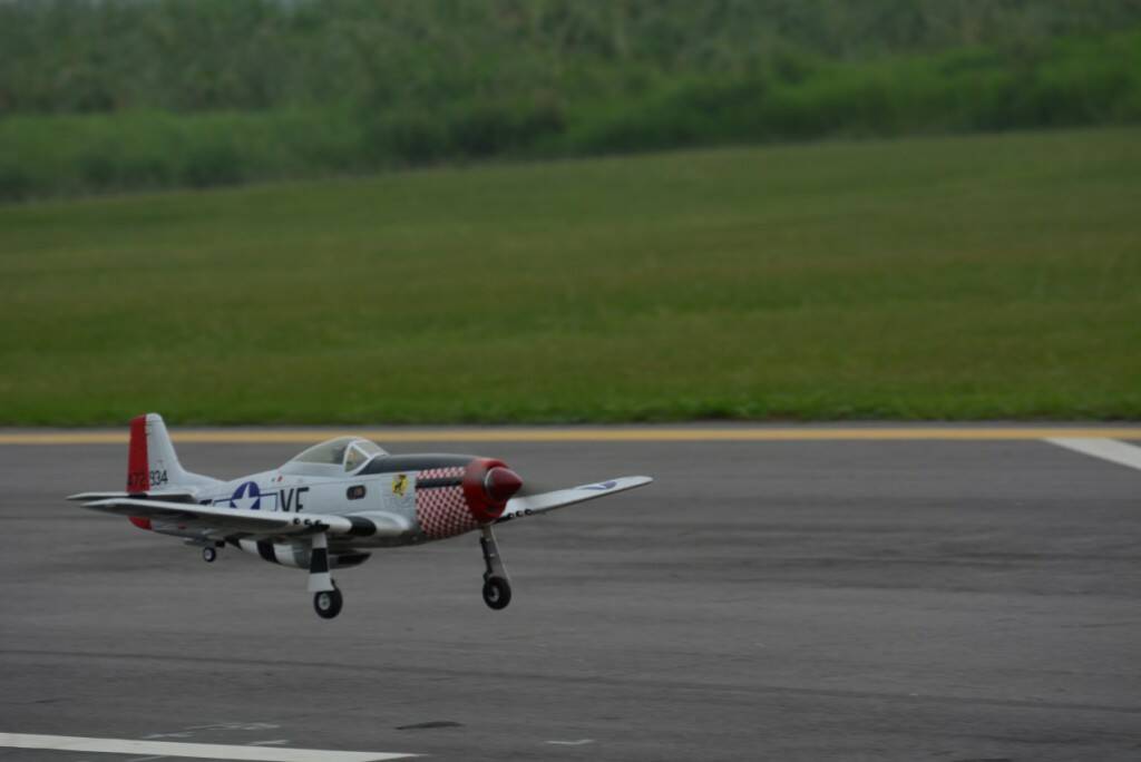 DSC_0313.JPG