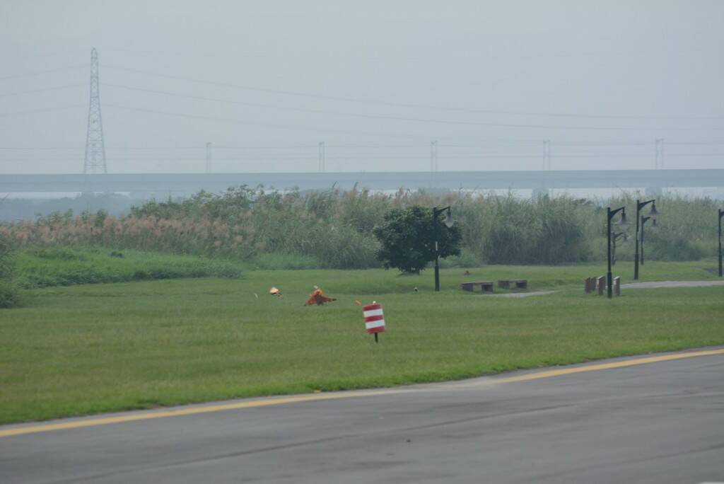 DSC_0316.JPG