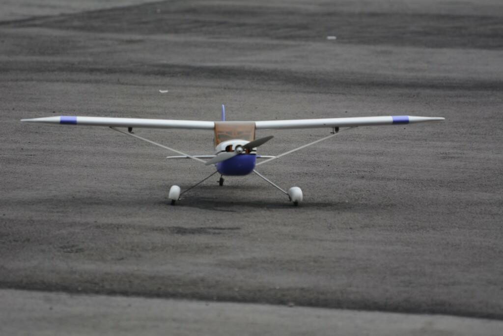 DSC_0339.JPG