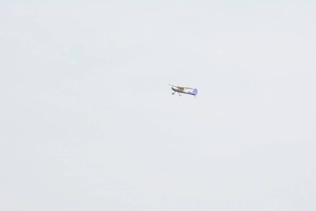 DSC_0365.JPG