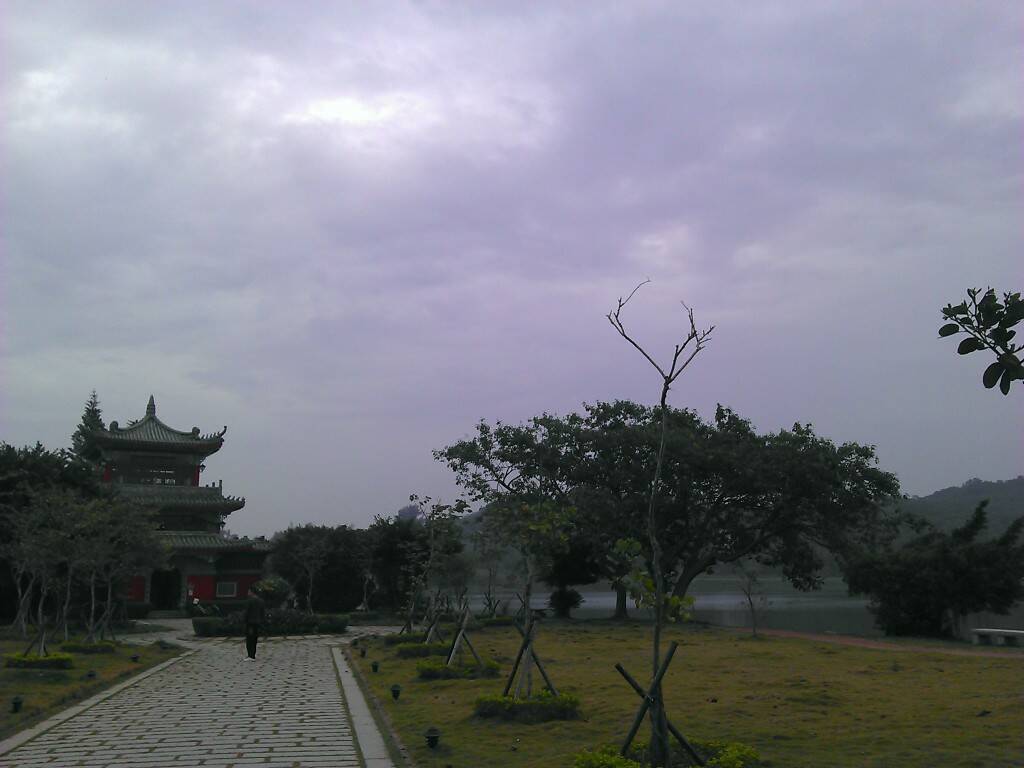 IMAG2299.jpg