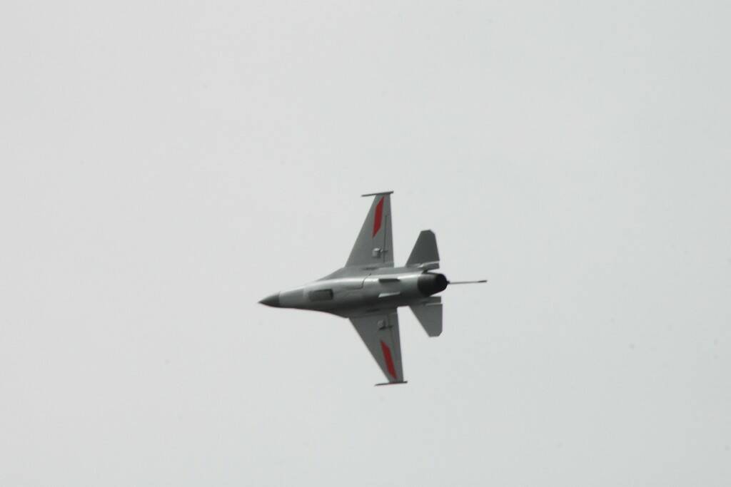 IMG_5004.JPG