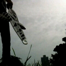 2013_11_11_03_40_54.gif