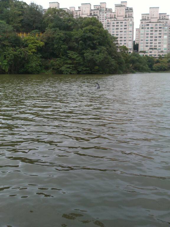 IMAG0565.jpg
