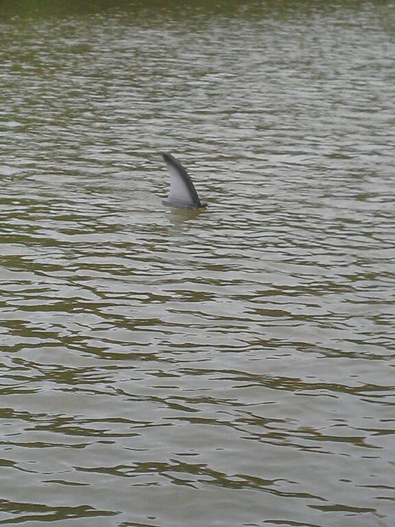IMAG0566.jpg
