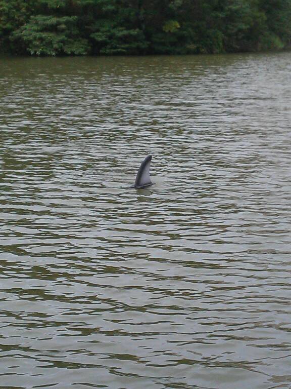 IMAG0569.jpg