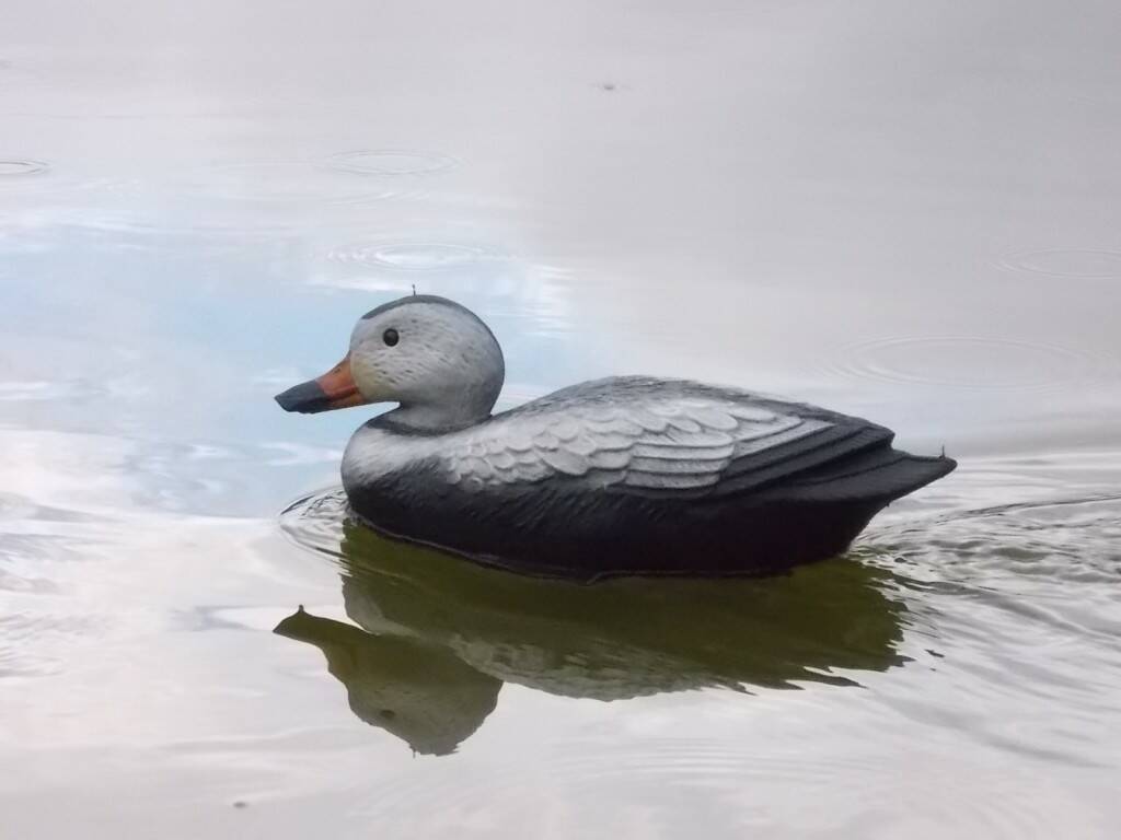 8.JPG