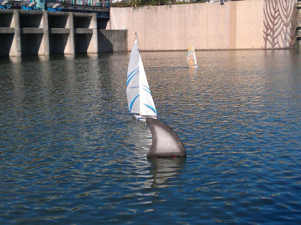 IMAG0598.jpg
