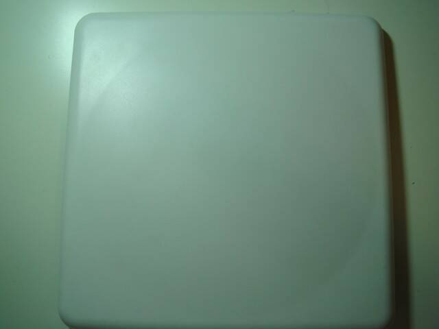 DSC08599.JPG