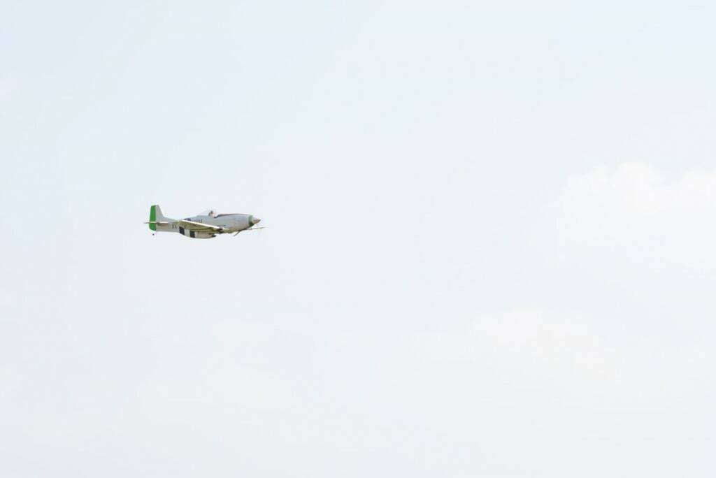 DSC_0800.JPG