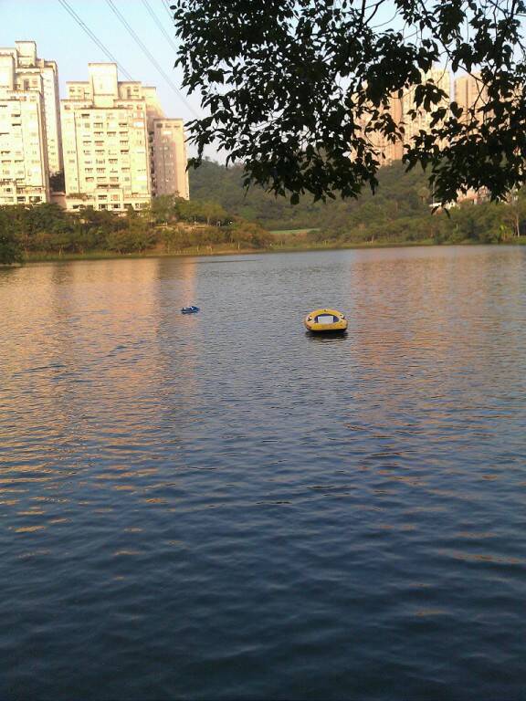 IMAG0612-1024.jpg