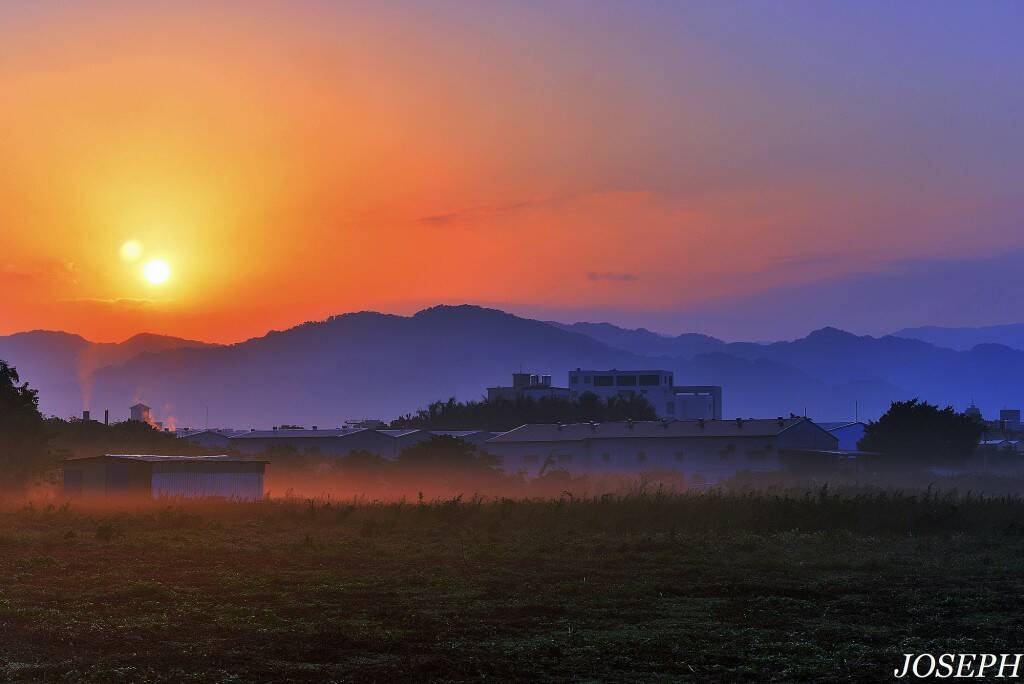 旭日東昇的柑園