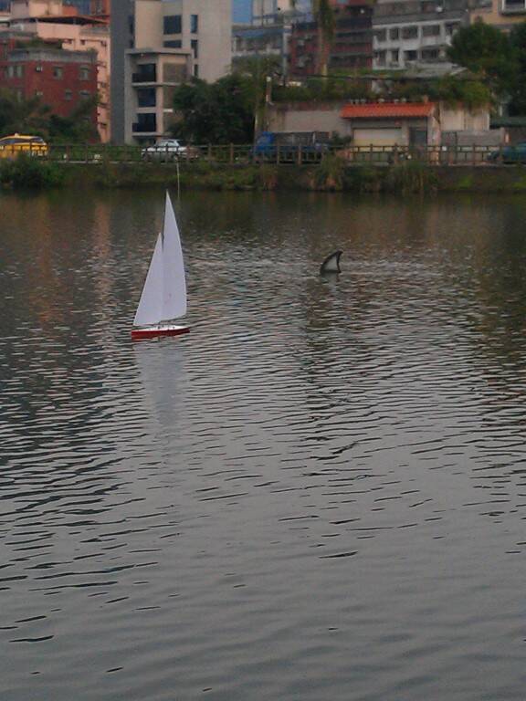 IMAG0692.jpg