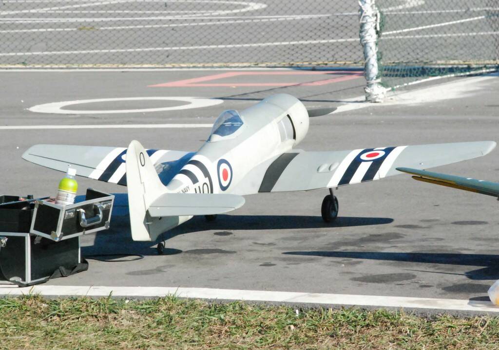 DSC_0354.JPG