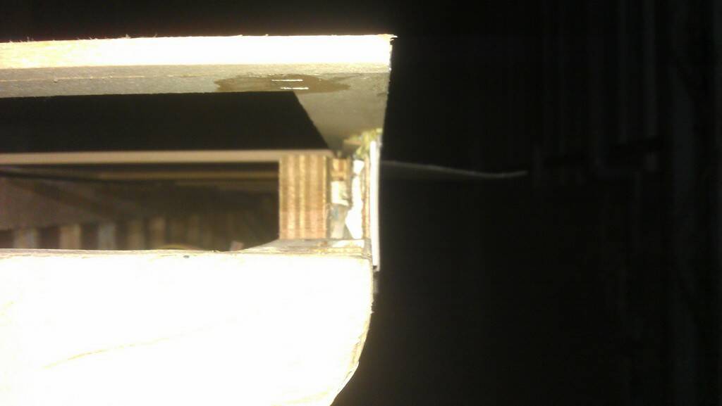 IMAG0597.jpg