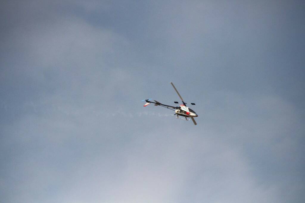 IMG_3133.jpg