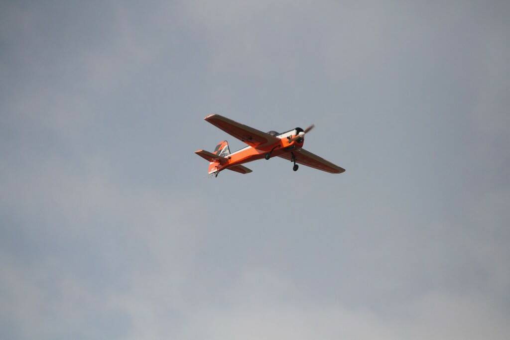 IMG_3167.jpg