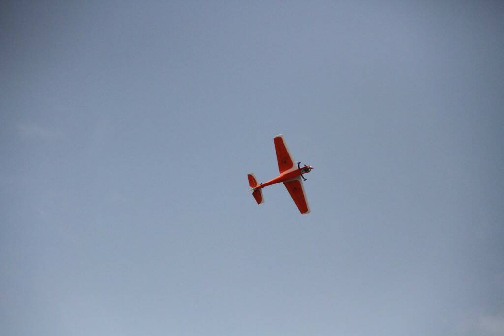 IMG_3170.jpg