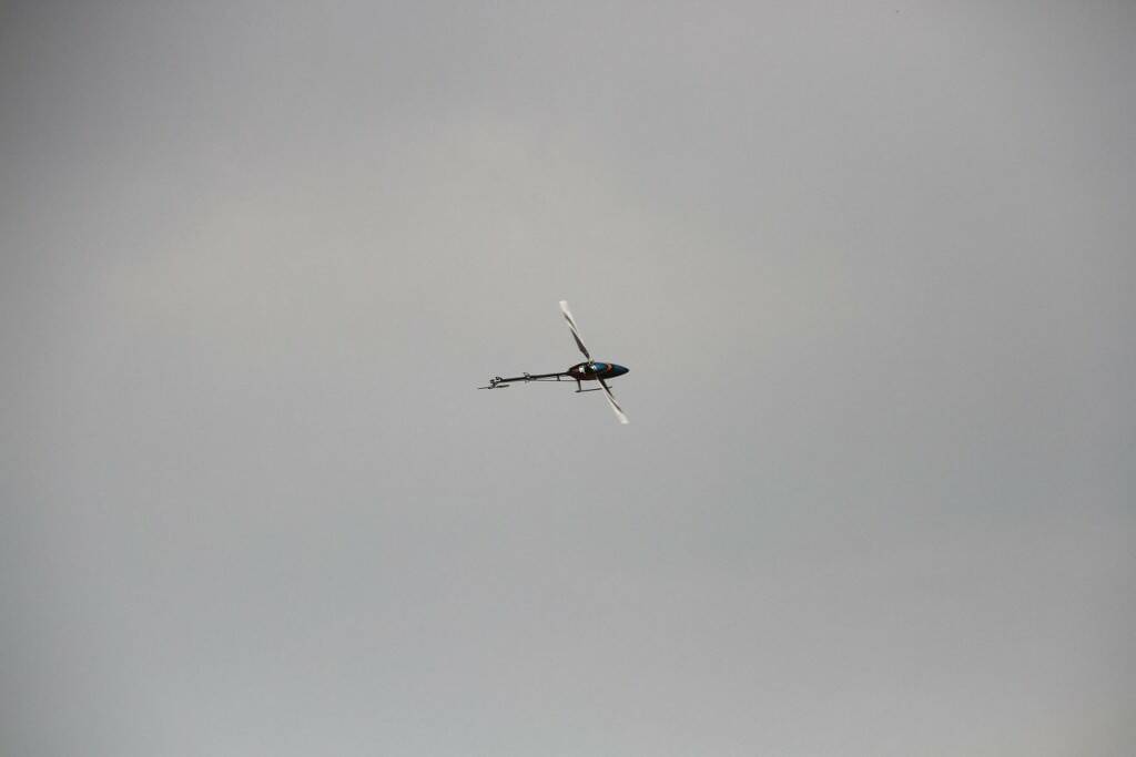 IMG_3199.jpg