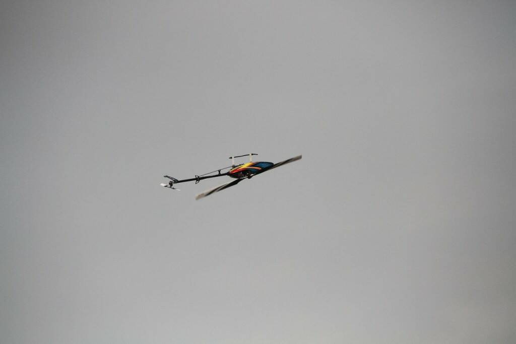 IMG_3200.jpg