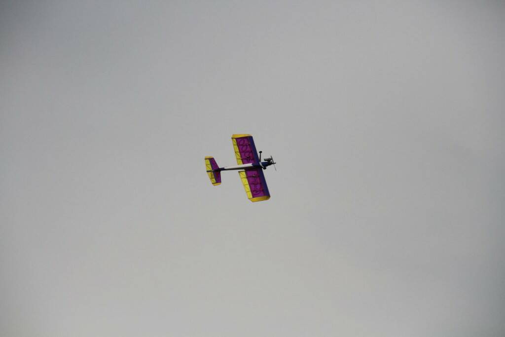 IMG_3211.jpg