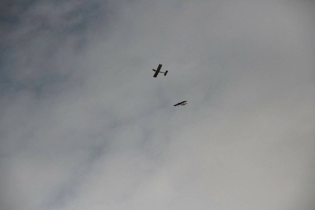 IMG_3223.jpg