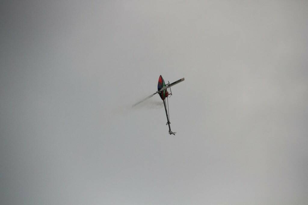 IMG_3248.jpg