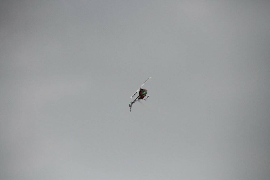 IMG_3258.jpg