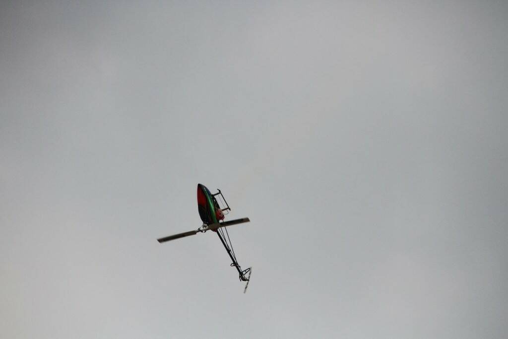 IMG_3259.jpg