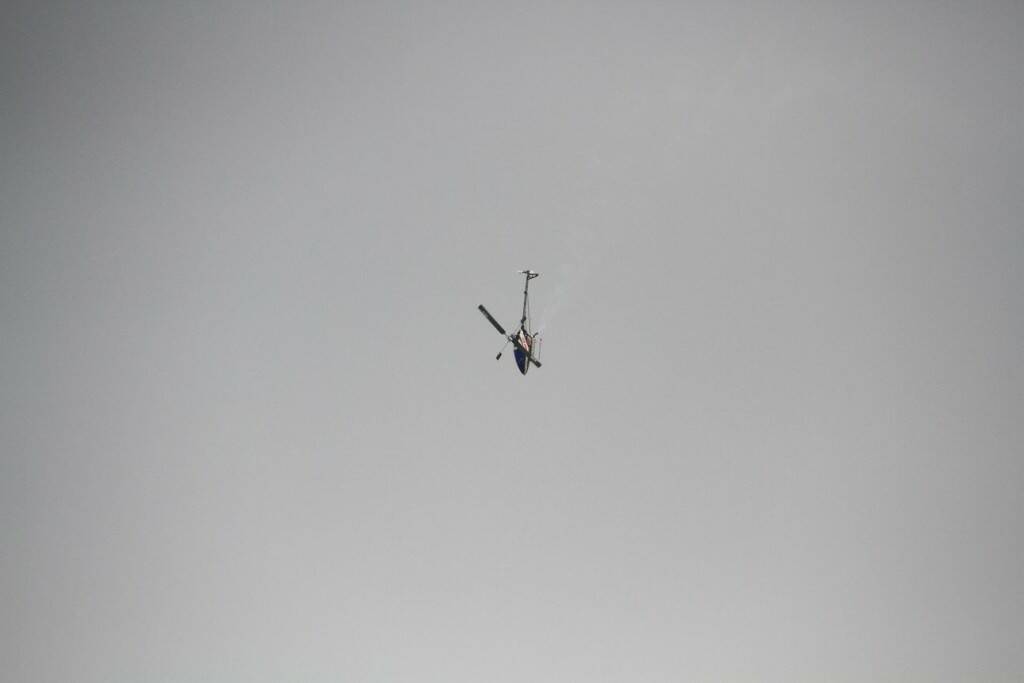 IMG_3287.jpg