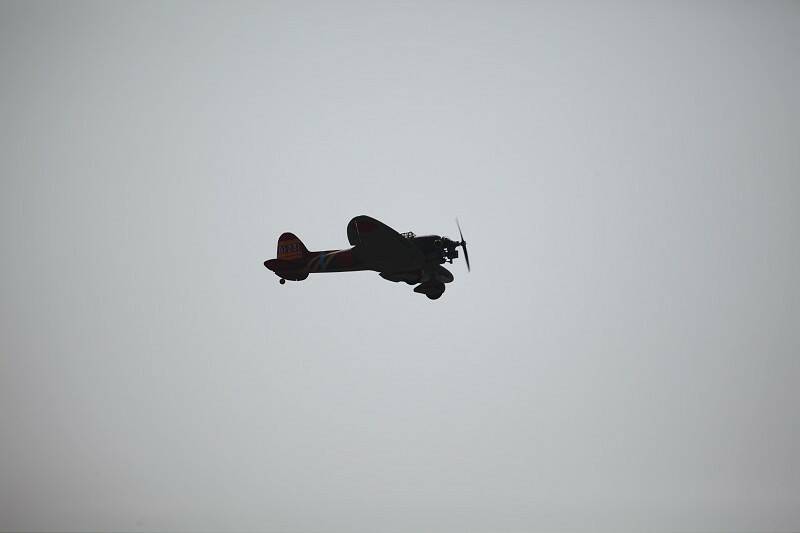 IMG_5908-800.jpg