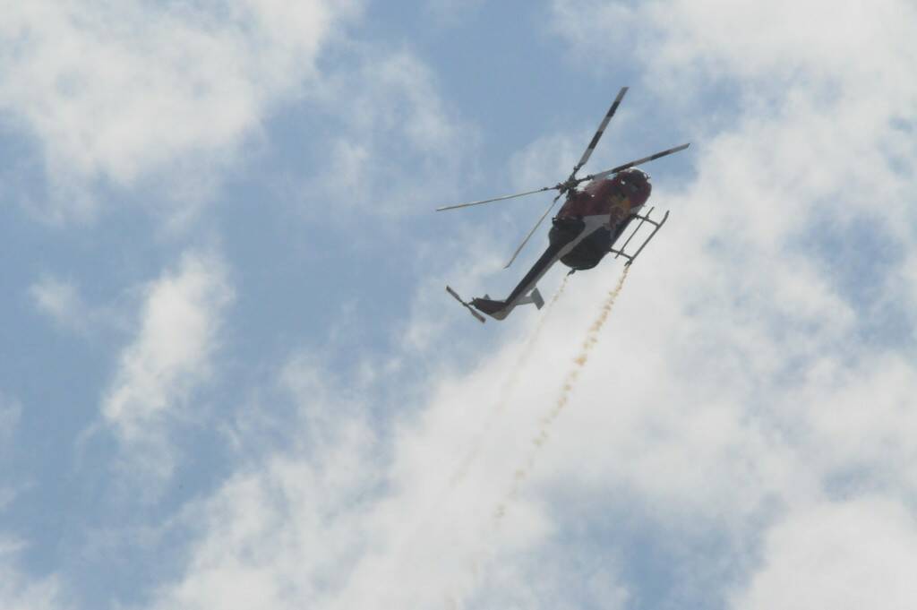 DSC_0882.jpg