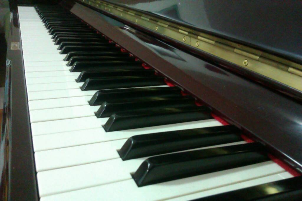IMAG0697.jpg