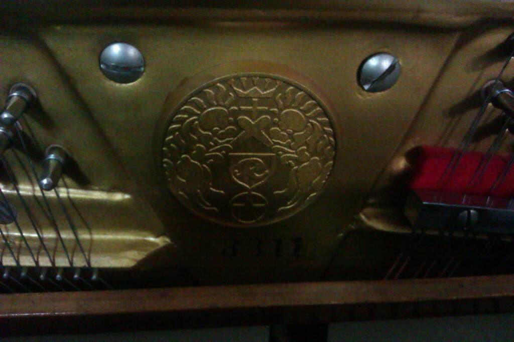 IMAG0704.jpg