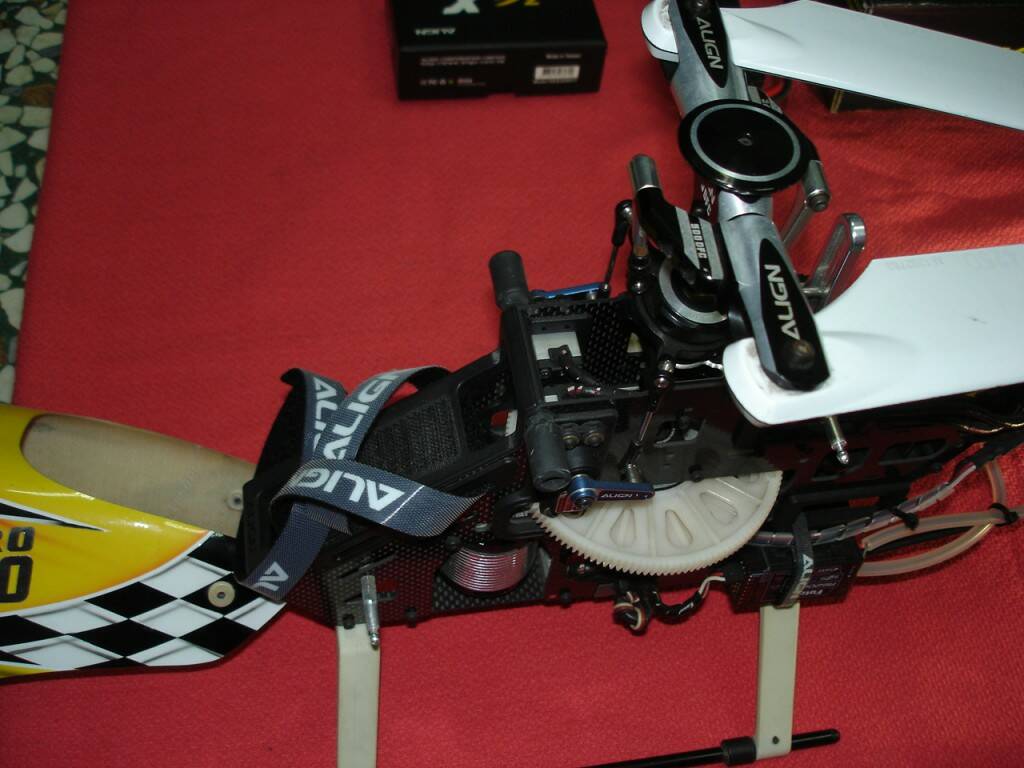 DSC00551.JPG