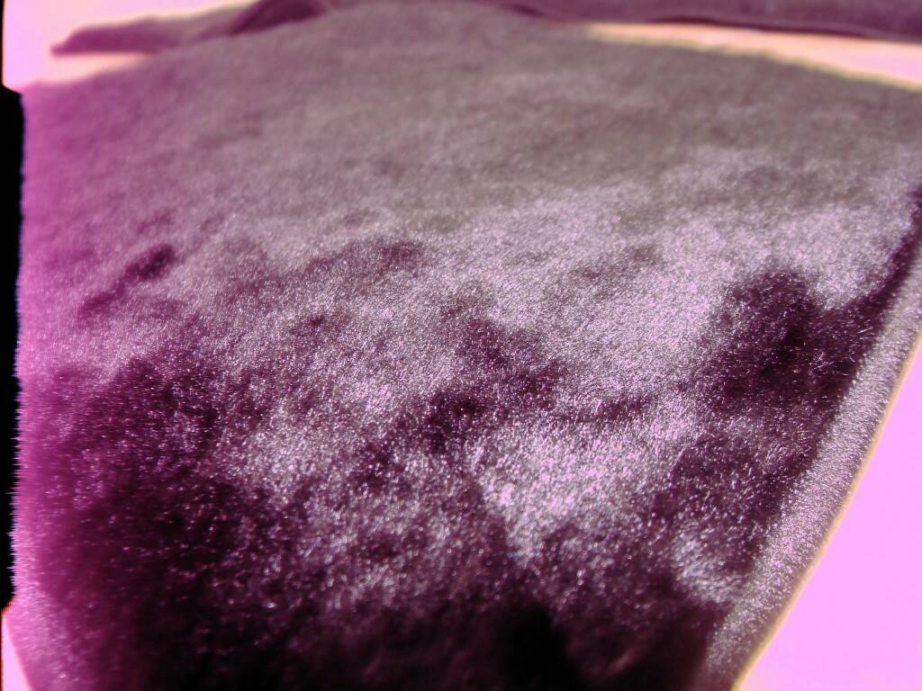 DSC09870.JPG