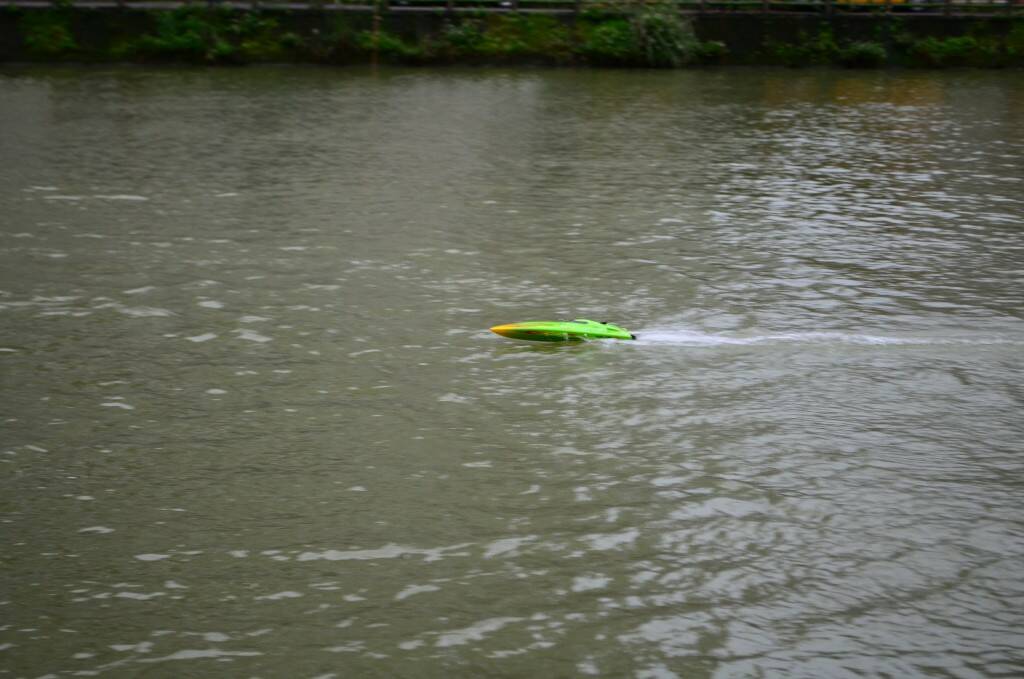 DSC_0478.jpg