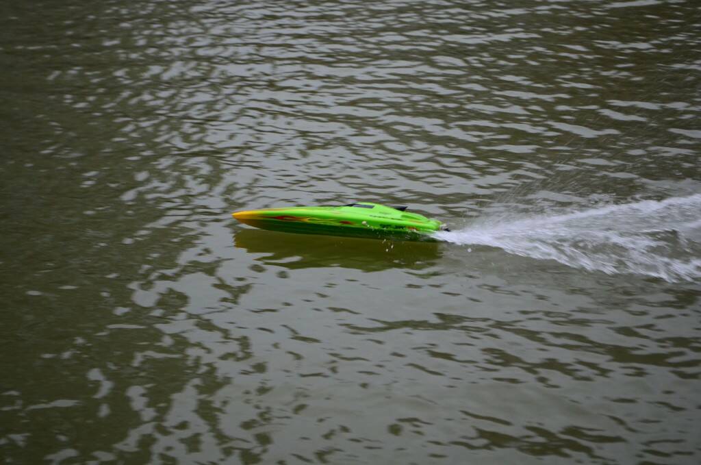 DSC_0488.jpg