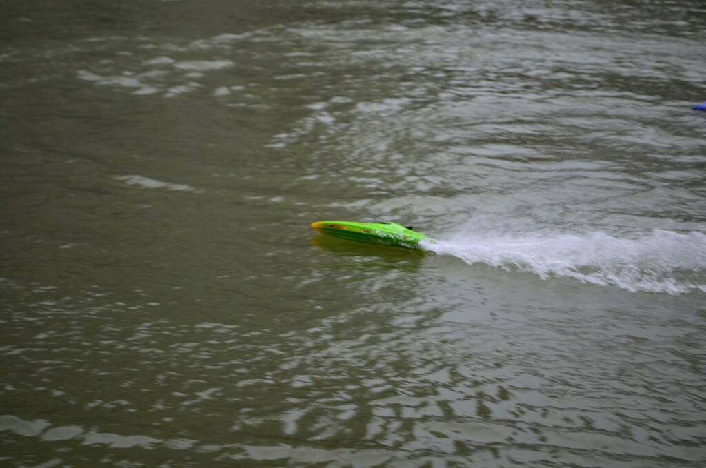 DSC_0496.jpg