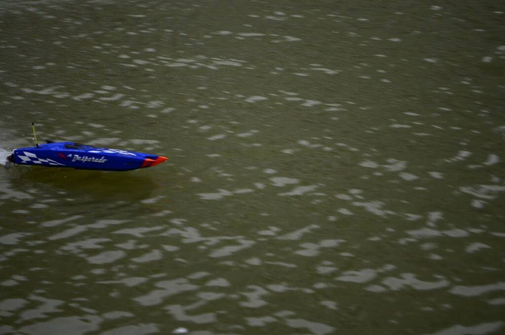 DSC_0503.jpg