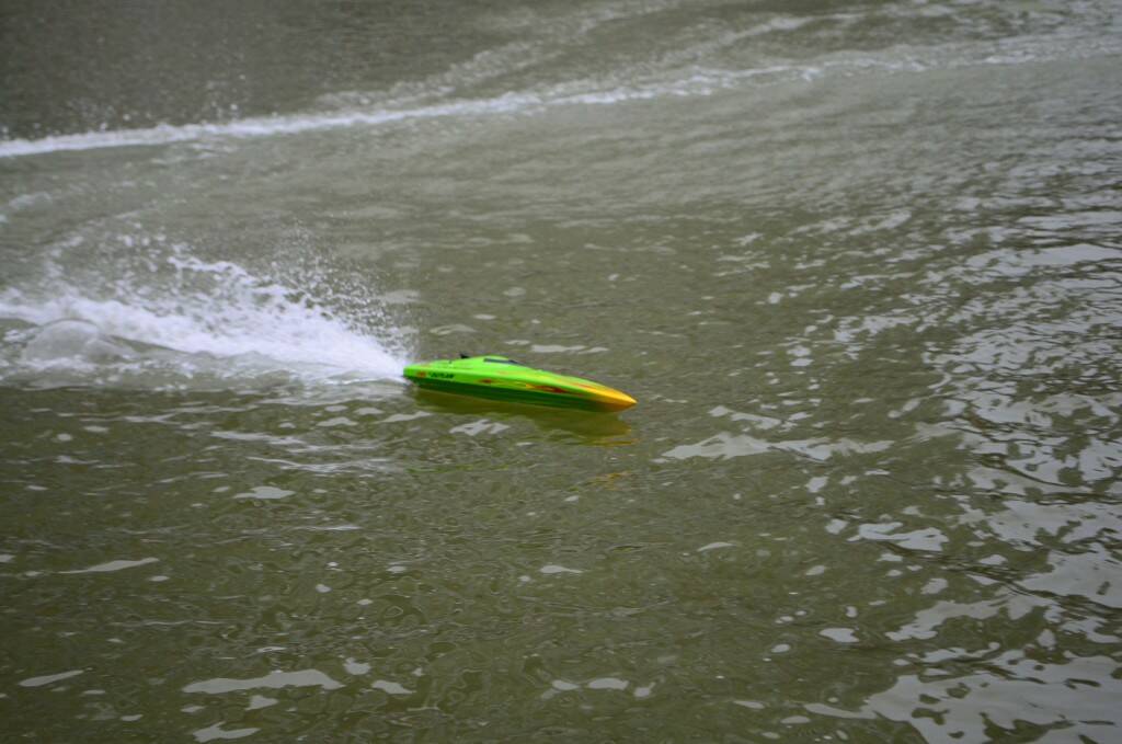 DSC_0508.jpg