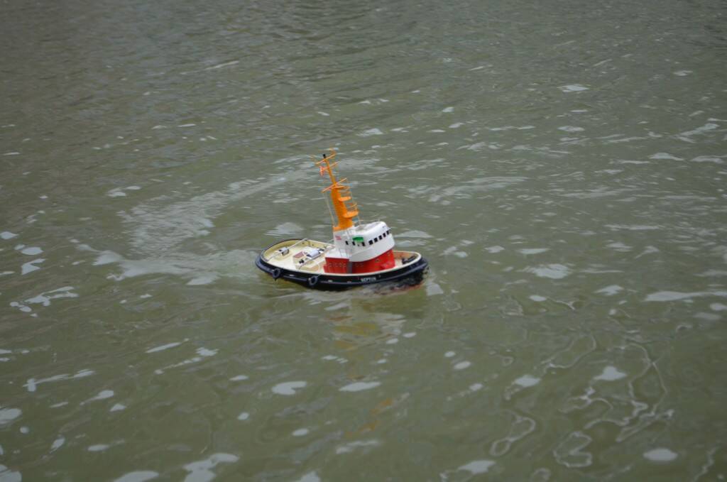 DSC_0536.jpg