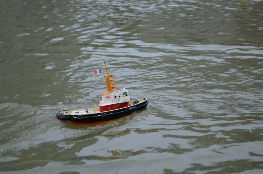DSC_0538.jpg