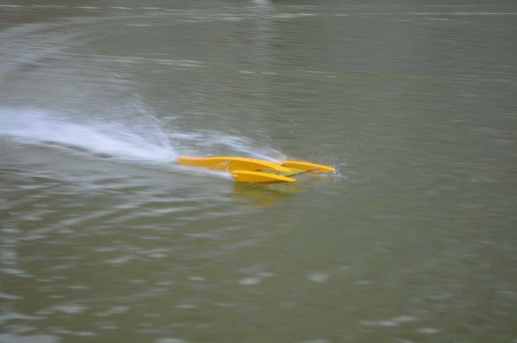 DSC_0546.jpg